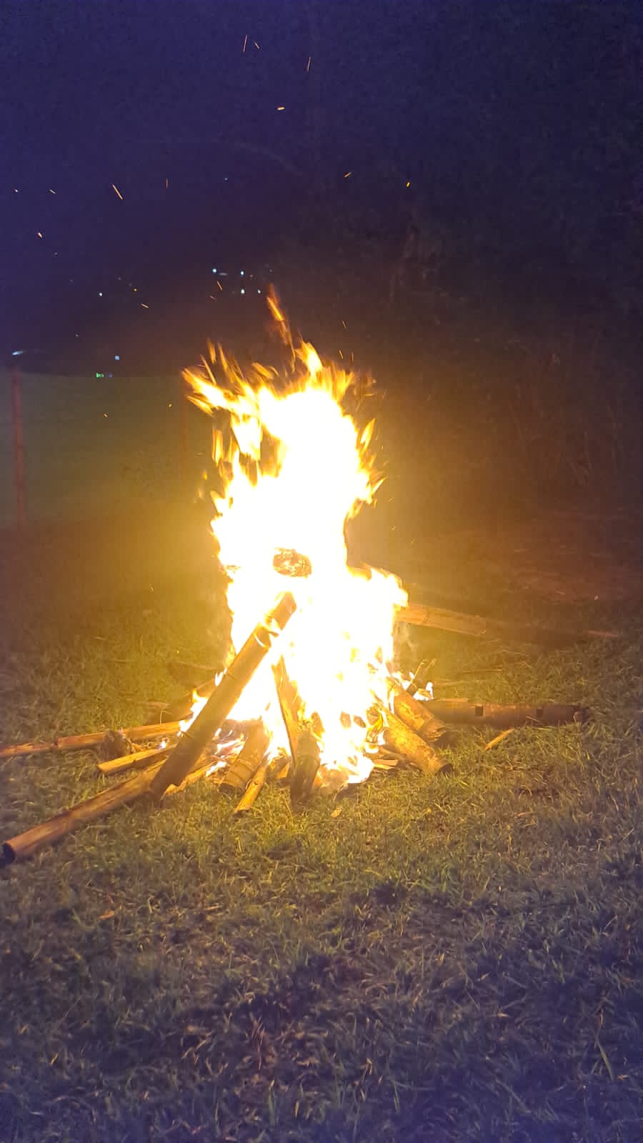 Programa de Rehabilitación Integral