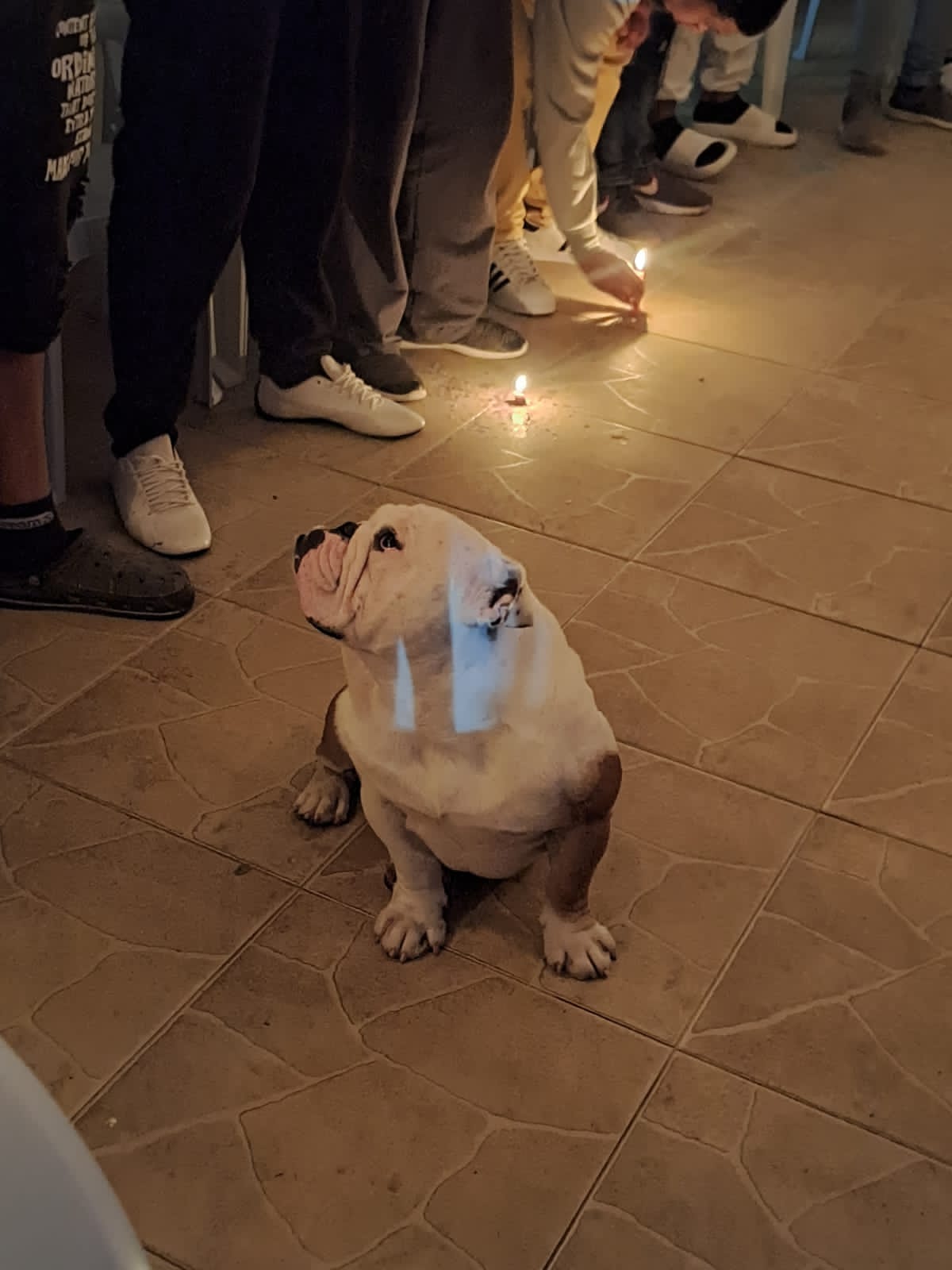 Fundacion para drogadictos en Girardota Antioquia